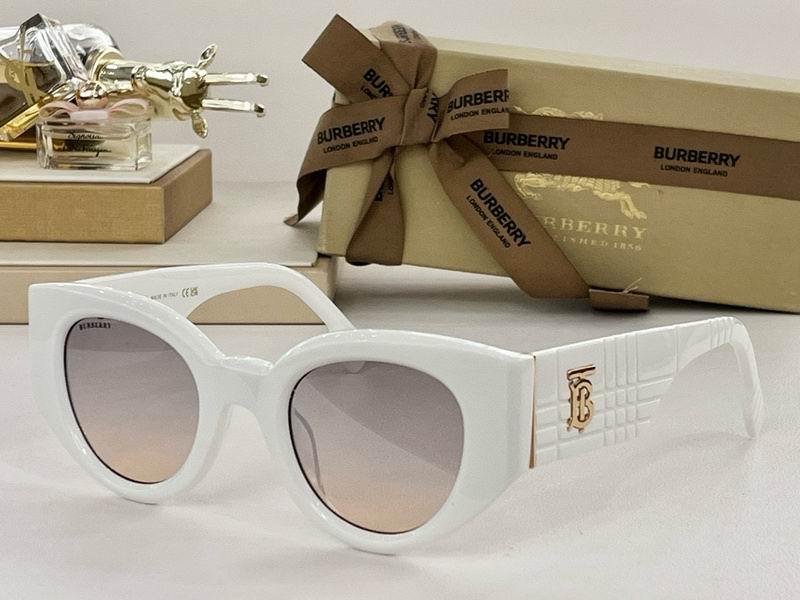 Burberry Sunglasses 301